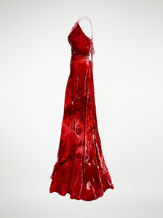The Damaris: Bias Silk Velvet Gown