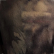 Distressed Brown