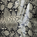 Snakeskin